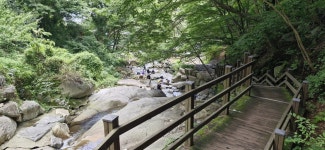 계곡 왔네요 - 뽐뿌:자유게시판 계곡 왔네요