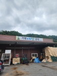잣같네요 - 뽐뿌:자유게시판 잣같네요