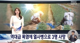 온열질환자 1500명 올해 11명사망.jpg - 뽐뿌:자유게시판 온열질환자 1500명 올해 11명사망.jpg