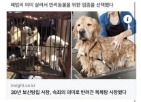 보신탕집 사장이 물온도를 내린 사연 ㅋ - 뽐뿌:자유게시판 보신탕집 사장이 물온도를 내린 사연 ㅋ