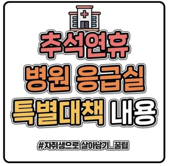 추석연휴 병원 응급실 특별대책 대응 - 뽐뿌:이것저것공유 추석연휴 병원 응급실 특별대책 대응