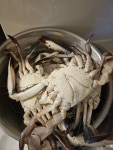 남도장터 꽃게 1kg - 뽐뿌:자유게시판 남도장터 꽃게 1kg