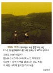 로봇이 죽어가며 보낸 금성 표면 사진 - 뽐뿌:자유게시판 로봇이 죽어가며 보낸 금성 표면 사진