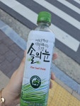 숙취엔 솔의눈 - 뽐뿌:자유게시판 숙취엔 솔의눈