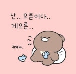 #으른 - 뽐뿌:짤방갤러리 #으른