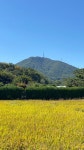 또 찾은 계양산 - 뽐뿌:등산포럼 또 찾은 계양산