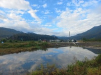 산책길 - 뽐뿌:자유갤러리 산책길