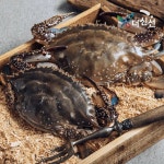 태안 자연산 꽃게 2kg 5-10미(19,897원/무료) | 펩시콜라 제로 라임 355ml*24(13,613원/무료) - 뽐뿌: 태안 자연산 꽃게 2kg 5-10미... 