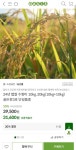 [오아시스] 24년 햅쌀 수향미 10kg 상등급 (31,600원/무료) - 뽐뿌:뽐뿌게시판 [오아시스] 24년 햅쌀 수향미 10kg 상등급 (31,600원/무료)