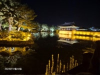 경주 여행 - 뽐뿌:여행포럼 경주 여행