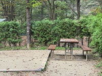 밥만 먹으러 간 치악산 금대에코힐링캠핑장 - 뽐뿌:캠핑포럼 밥만 먹으러 간 치악산 금대에코힐링캠핑장