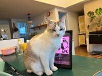 최씨 칠남매 - 뽐뿌:자유갤러리 최씨 칠남매