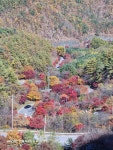 보발재 - 뽐뿌:자유갤러리 보발재