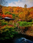 오늘(11월3일) 화담숲 풍경입니다 - 뽐뿌:자유갤러리 오늘(11월3일) 화담숲 풍경입니다