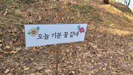 오늘 기분 꽃 같네. - 뽐뿌:자유게시판 오늘 기분 꽃 같네.