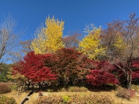 가야산국립공원, 산방기간에도 다녀올수 있는 코스 ( 백운동 - 만물상코스 - 해인사 ) - 뽐뿌:등산포럼 가야산국립공원, 산방기간에도 다녀올수... 
