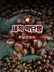 [네이버] 약단밤 500g (네멤 1,900원/무료) - 뽐뿌:뽐뿌게시판  [네이버] 약단밤 500g (네멤 1,900원/무료)