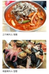 고기짬뽕 vs 해물짬뽕 취향 조사 jpg - 뽐뿌:자유게시판 고기짬뽕 vs 해물짬뽕 취향 조사 jpg