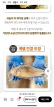 [초특가] 원조 밥도둑 명품 부세굴비 5마리 (24,228원/무배) - 뽐뿌: [초특가] 원조 밥도둑 명품 부세굴비 5마리 (24,228원/무배)