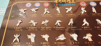 집에 태권도 뱃지판이 들어왔네요 - 뽐뿌:자유게시판 집에 태권도 뱃지판이 들어왔네요