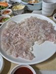 광어세꼬시 - 뽐뿌:자유갤러리 광어세꼬시
