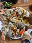 꽃게찜 쫩쫩 - 뽐뿌:자유갤러리 꽃게찜 쫩쫩