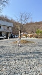 스물 한번째 캠핑 - 진천 휴미락캠핑장 - 뽐뿌:캠핑포럼 스물 한번째 캠핑 - 진천 휴미락캠핑장