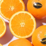 [네이버] 블랙라벨 네이블 오렌지 6개 (3,500원/네이버멤버쉽... [네이버] 블랙라벨 네이블 오렌지 6개 (3,500원/네이버멤버쉽 무료배송)