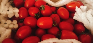 핫딜로 올라왔던 방울토마토 왔네요 - 뽐뿌:자유게시판 핫딜로 올라왔던 방울토마토 왔네요