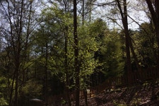 만산동국민여가캠핑장 솔캠 - 뽐뿌:캠핑포럼 화천엔 지자체 캠핑장,휴양림을 잘 조성해놨네요. 만산동국민여가캠핑장 솔캠