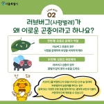 러브버그가 익충이 아닌데 익충이라 하네요. - 뽐뿌:자유게시판 러브버그가 익충이 아닌데 익충이라 하네요.