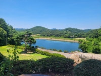 백아산 카페 - 뽐뿌:자유갤러리 백아산 카페