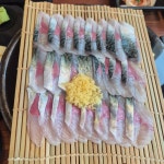 또 고등어 회가 제철이네요 - 뽐뿌:자유갤러리 또 고등어 회가 제철이네요