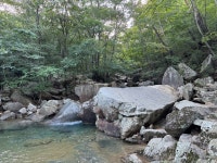 BAC 광양 백운산 곡성 동악산_20250815 - 뽐뿌:등산포럼 BAC 광양 백운산 곡성 동악산_20250815