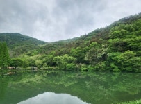 호수 - 뽐뿌:자유갤러리 호수