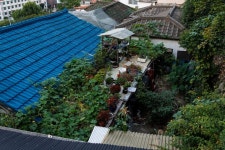 낙산공원 다녀왔습니다 - 뽐뿌:사진/카메라 낙산공원 다녀왔습니다