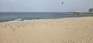 낼부터 출근실화임 - 뽐뿌:자유게시판 낼부터 출근실화임