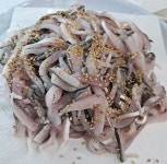 호불호 갈린다는 회 jpg - 뽐뿌:자유게시판  호불호 갈린다는 회 jpg