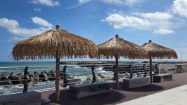 문무대왕릉 가는길에 동남아 들렀어요 - 뽐뿌:자유갤러리 문무대왕릉 가는길에 동남아 들렀어요