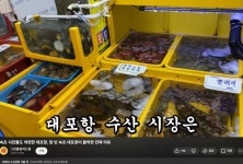 무너지고 있다는 대포항 근황 ㄷㄷㄷ.jpg - 뽐뿌:자유게시판  무너지고 있다는 대포항 근황 ㄷㄷㄷ.jpg