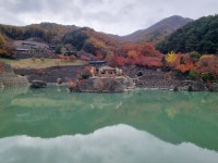 하동 삼성궁 좋네요 - 뽐뿌:자유게시판 하동 삼성궁 좋네요