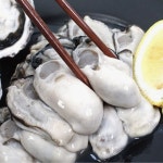 [NS몰] 산지직송 통영 생굴 1kg (14,900원/무료) - 뽐뿌:뽐뿌게시판 [NS몰] 산지직송 통영 생굴 1kg (14,900원/무료)