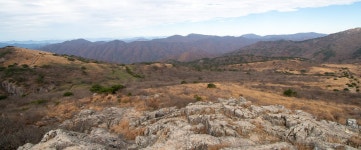 25-11-12 영축산의 단풍과 다람쥐 - 뽐뿌:등산포럼 25-11-12 영축산의 단풍과 다람쥐