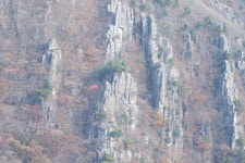 25-11-12 영축산의 단풍과 다람쥐 - 뽐뿌:등산포럼 25-11-12 영축산의 단풍과 다람쥐