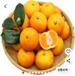 [쿠팡] 제주 극조생 감귤 5kg 중대과 (8,500원/무료) - 뽐뿌:뽐뿌게시판 [쿠팡] 제주 극조생 감귤 5kg 중대과 (8,500원/무료)