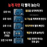 늦게 자면 더 빨리 늙는다 - 뽐뿌:건강/헬스 늦게 자면 더 빨리 늙는다