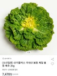 [옥션] 국내산 봄동 배추 2kg (7,470원/무료) - 뽐뿌:뽐뿌게시판 [옥션] 국내산 봄동 배추 2kg (7,470원/무료)