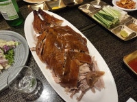 생애 첫 북경오리 - 뽐뿌:자유갤러리 생애 첫 북경오리