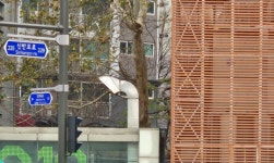 강남 터미널 사거리 횡단보도 설치 토요일 상황 올려봄니다 - 뽐뿌:자유게시판 강남 터미널 사거리 횡단보도 설치 토요일 상황 올려봄니다