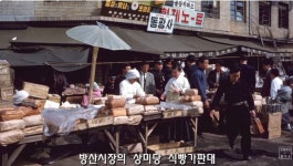 1959년 서울 - 뽐뿌:자유게시판 1959년 서울